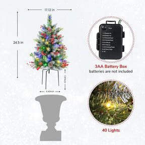 Set of 2 24.5 Inch Lighted Outdoor Christmas Tree with Remote, Porch & Yard