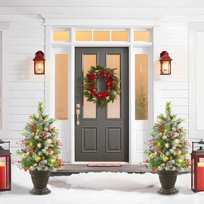 Set of 2 24.5 Inch Lighted Outdoor Christmas Tree with Remote, Porch & Yard