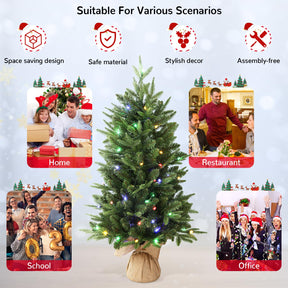 2 ft Small Mini Prelit Artificial Christmas Tree with Color LED Lights